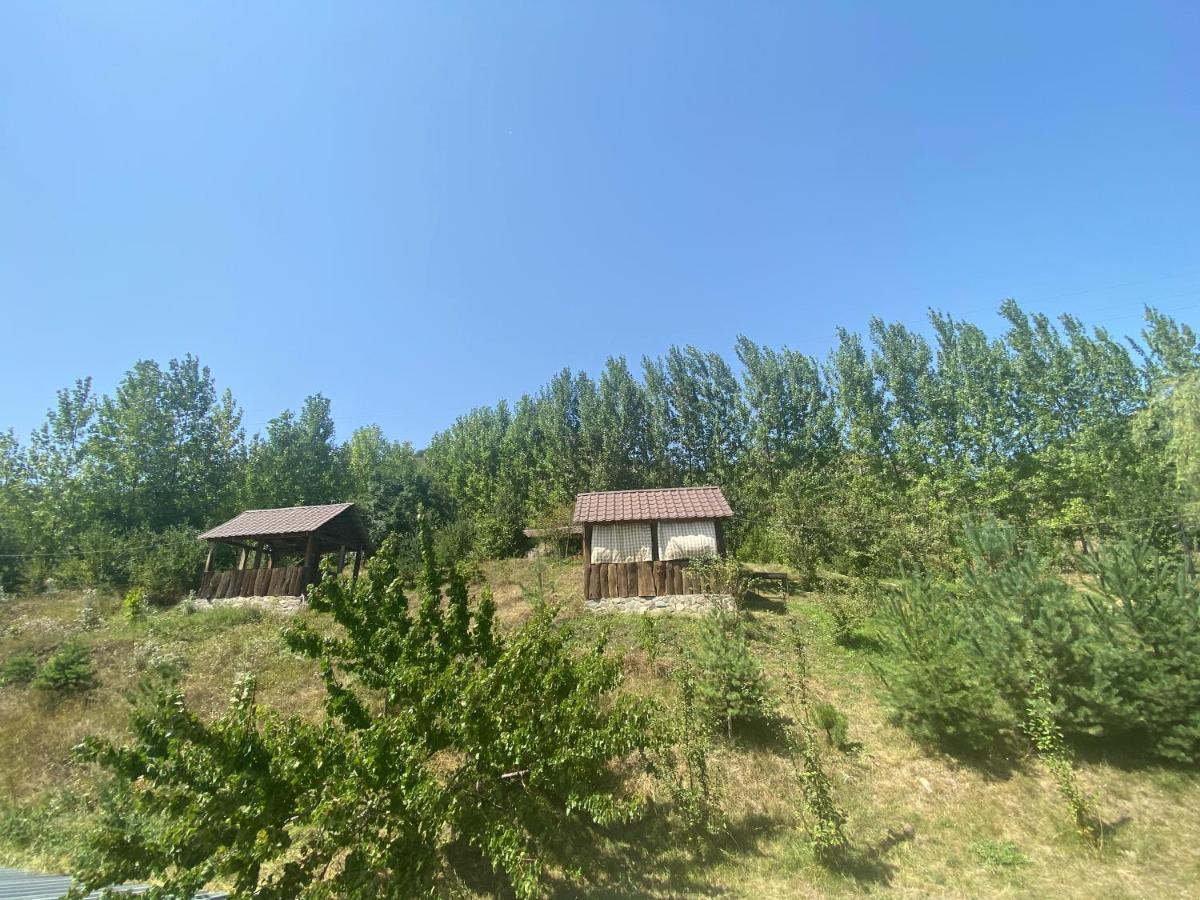 Hotel Nirvana Dilijan Esterno foto